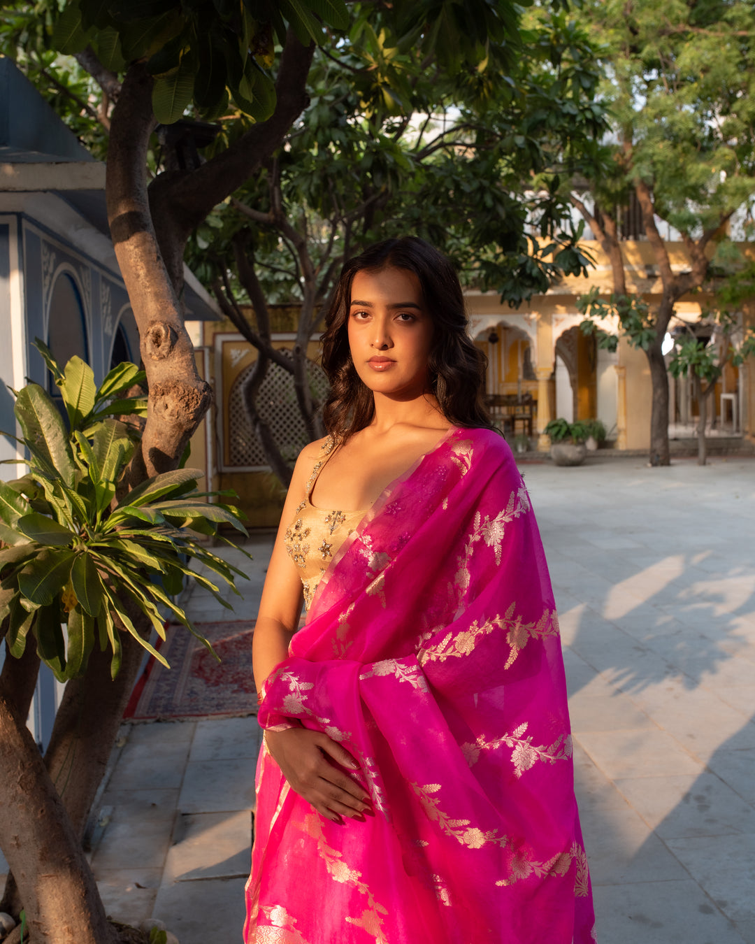 Manik- Indian Pink Silk Organza Banarasi Saree
