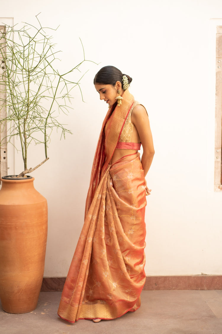 Zahal- Corel Silk Chanderi Saree