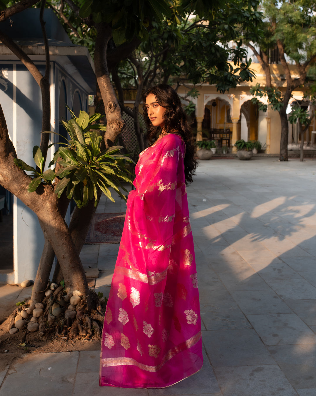 Manik- Indian Pink Silk Organza Banarasi Saree