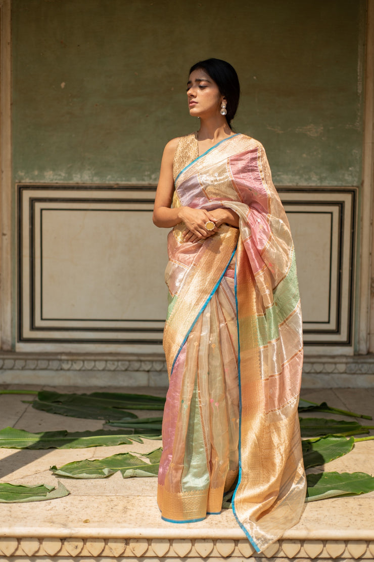 Eda- Multicolor Pastel Silk Organza Banarasi Saree