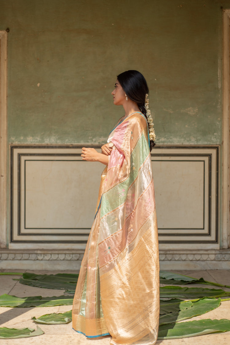 Eda- Multicolor Pastel Silk Organza Banarasi Saree