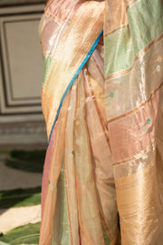 Eda- Multicolor Pastel Silk Organza Banarasi Saree