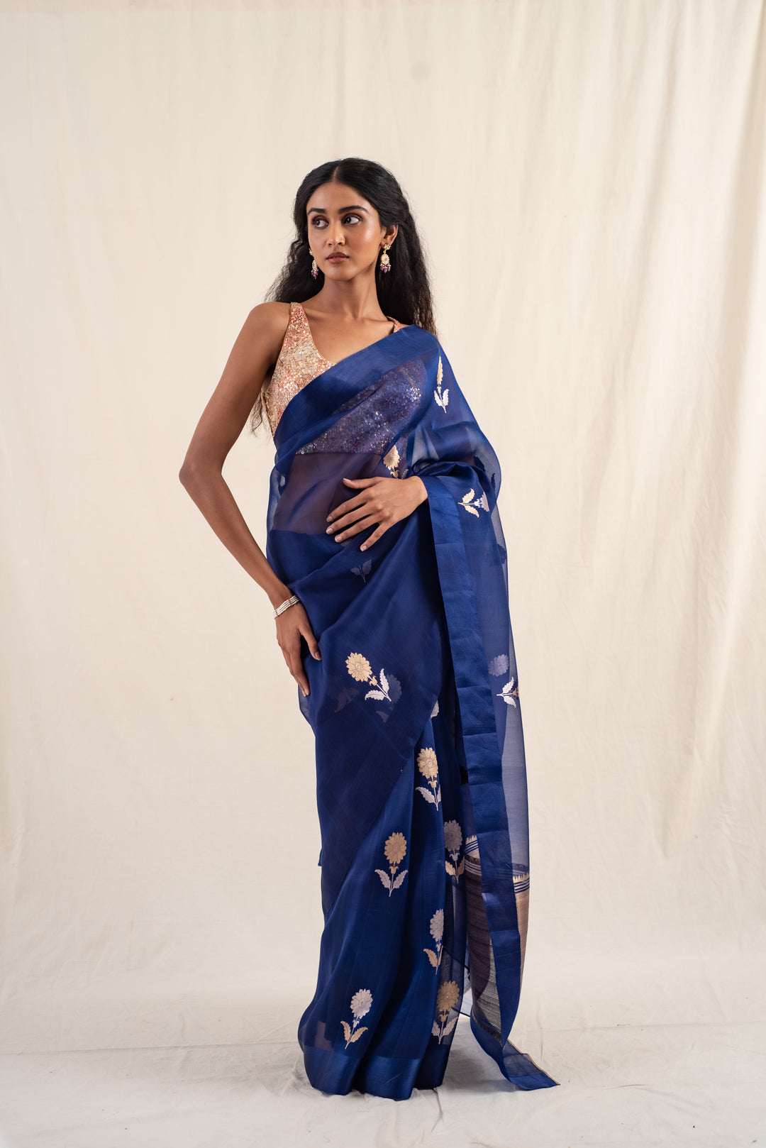 Chira - Blue Silk Organza Banarasi Saree