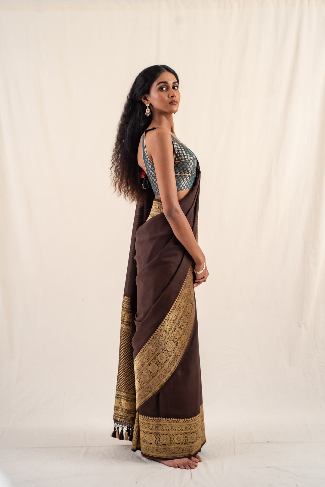 Burma - Brown Silk Georgette Banarasi Saree