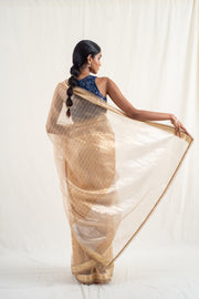 Alankar - Beige silk chanderi tissue banarasi handwoven saree