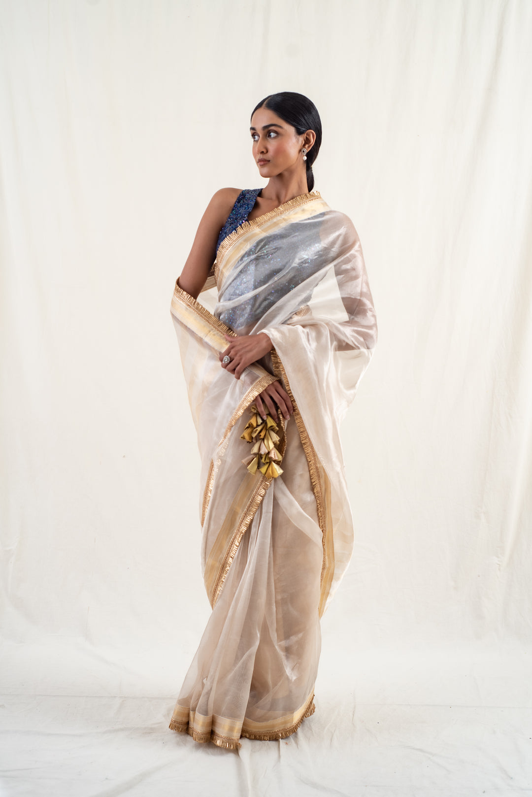 Alankar - Beige silk chanderi tissue banarasi handwoven saree