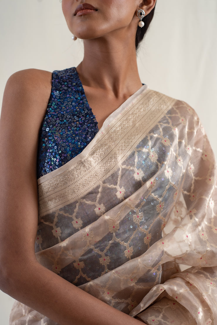 Ima - Beige silk banarasi tissue handwoven saree