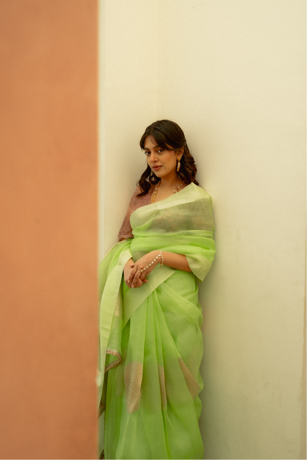 Aishani - Pastel Green Silk Organza Banarasi Saree