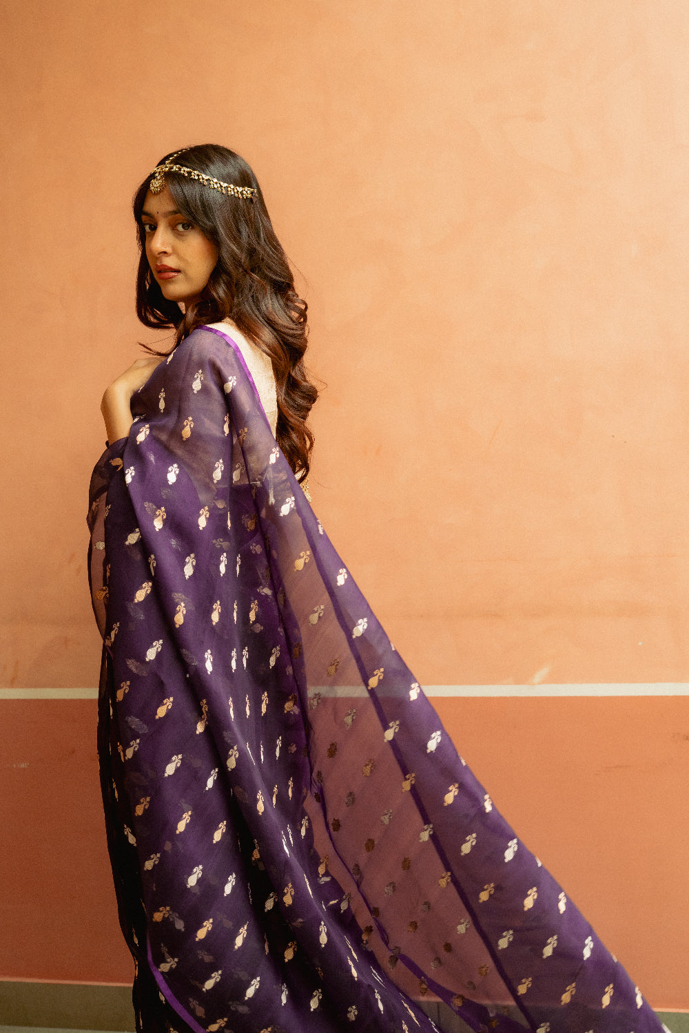Chiti - Purple Silk Organza Banarasi Saree