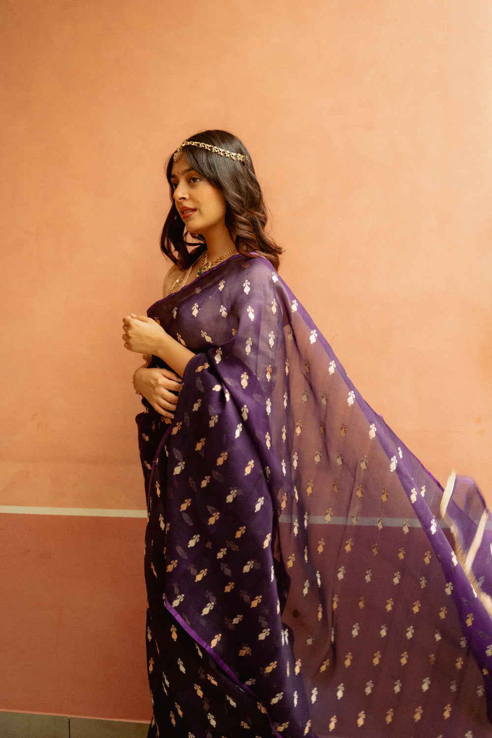 Chiti - Purple Silk Organza Banarasi Saree