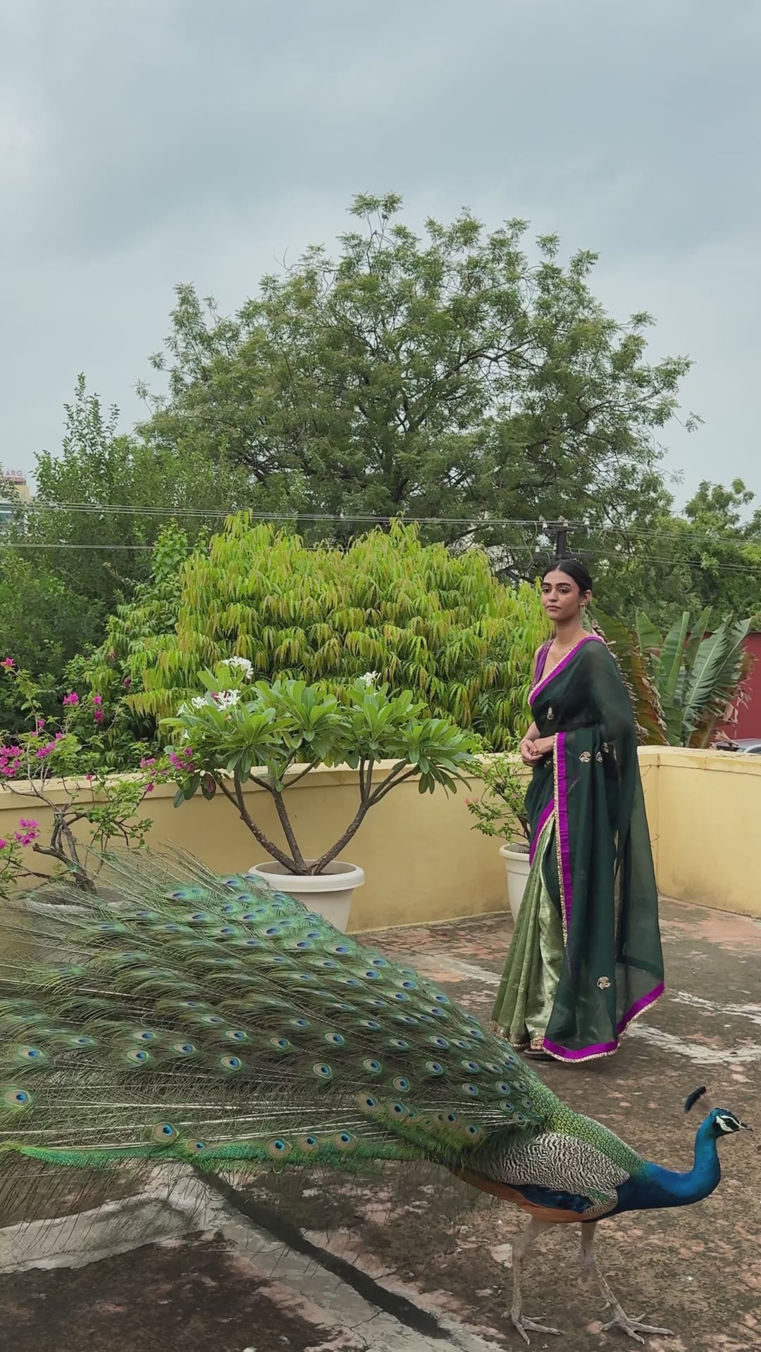 Kavya - Green Silk Organza and Brocade Saree