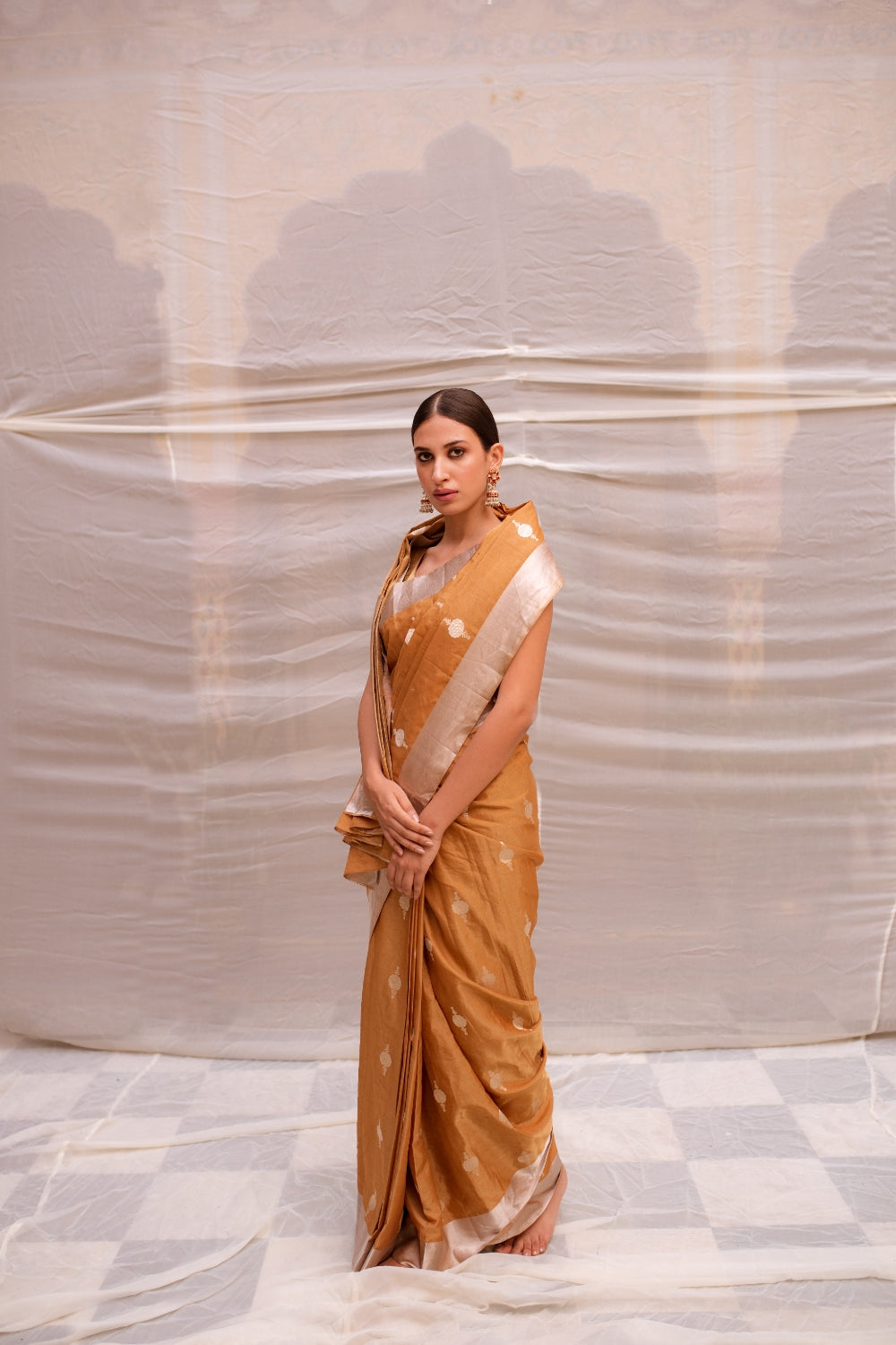 Sharmishtha- Gold and Silver Silk Brocade Tissue Banarasi Saree