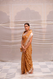 Sharmishtha- Gold and Silver Silk Brocade Tissue Banarasi Saree